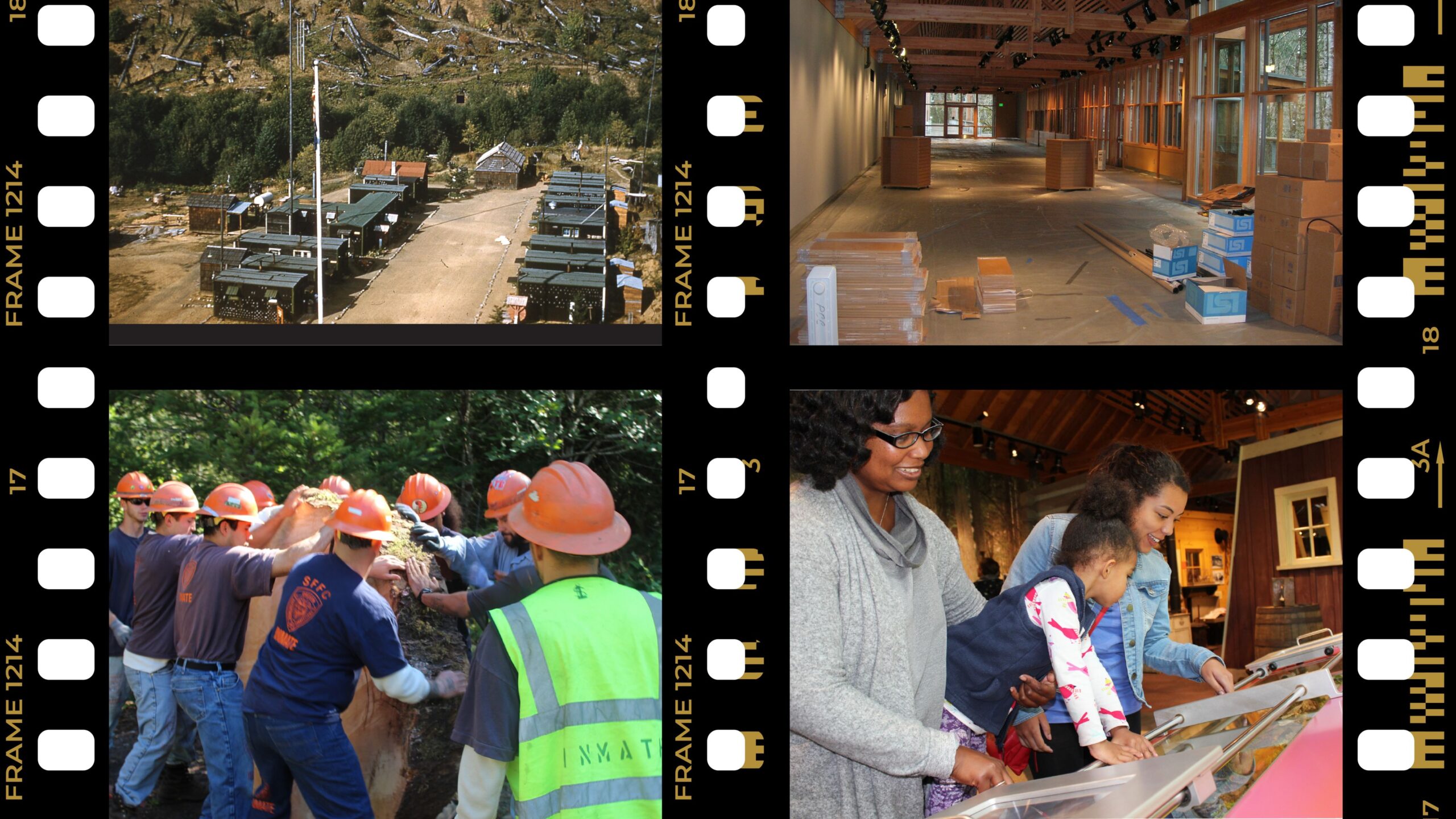 Film-Strip-website-small-1-scaled-9kj1sf